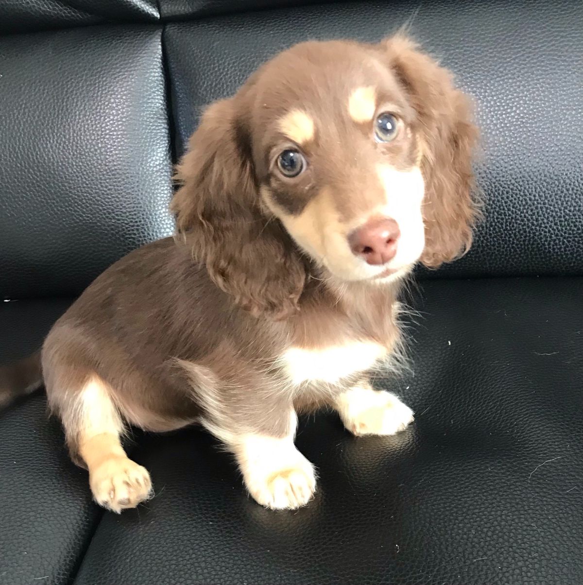 初めて方へ画像