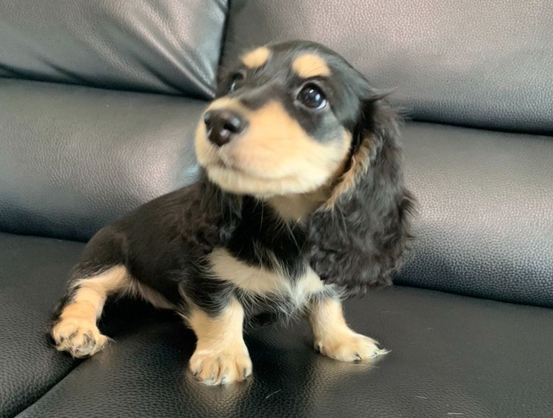 初めて方へ画像